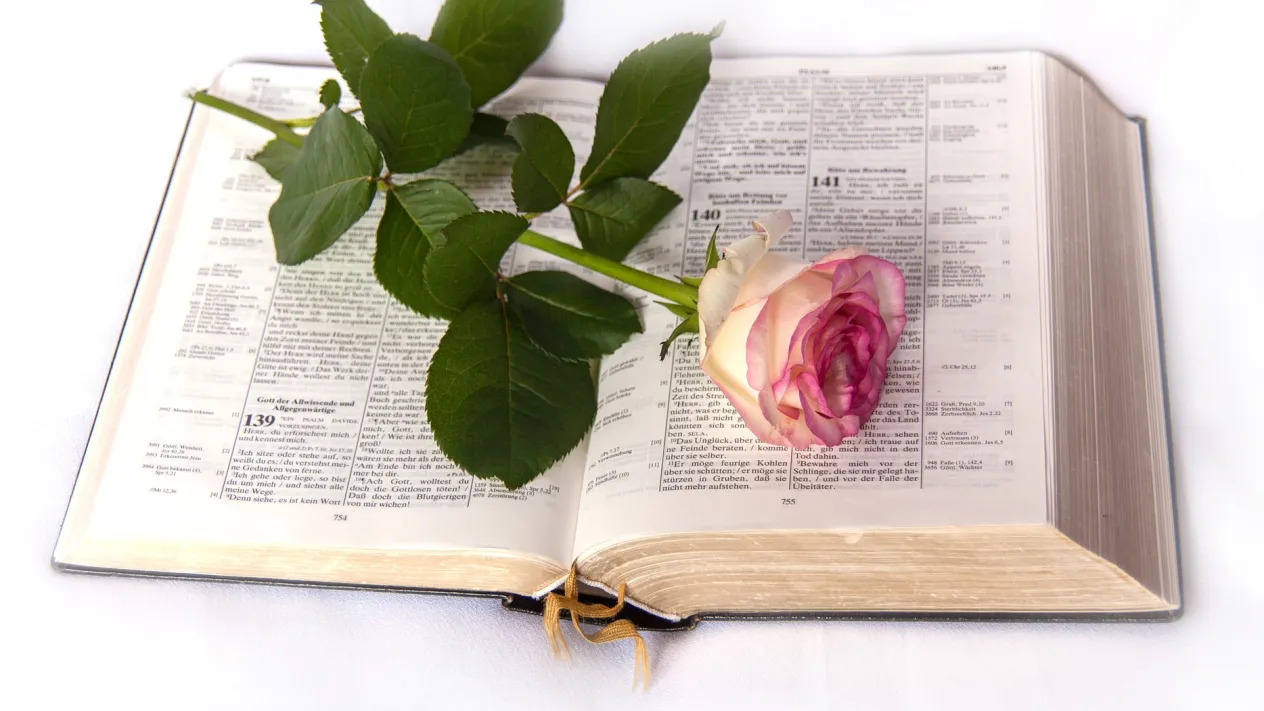 Bibel (Foto: listje pixabay)
